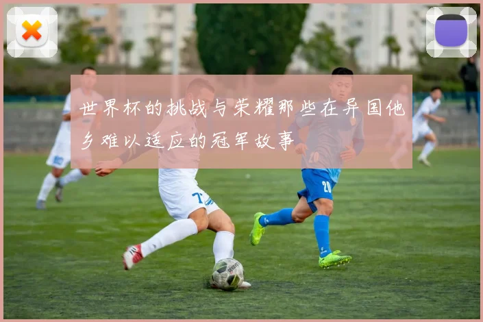 世界杯的挑战与荣耀那些在异国他乡难以适应的冠军故事